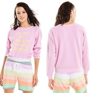 🔥CLOSET CLEAR OUT🔥 Wildfox sweater